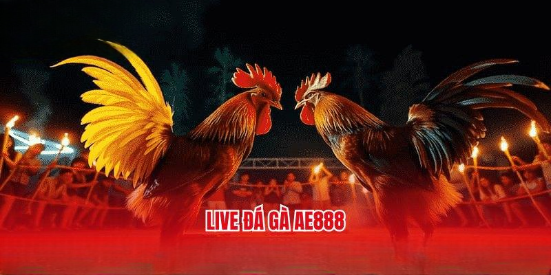 Đá Gà AE888 – Sân Chơi Đá Gà Trực Tuyến Ăn Tiền Thật Uy Tín